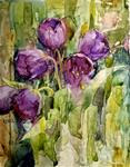 Tulip Study on Yupo - Posted on Wednesday, February 18, 2015 by Julie Ford Oliver