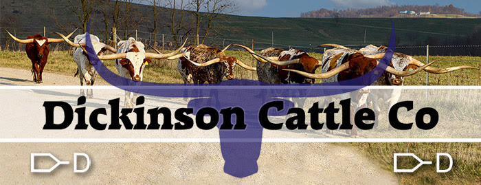 Dickinson Cattle Co, LLC