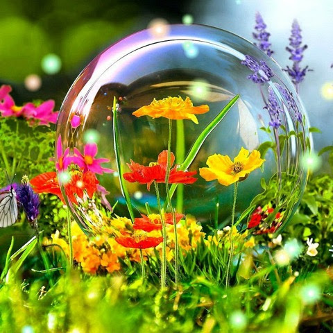 Flowers-colorful-in-Bubble