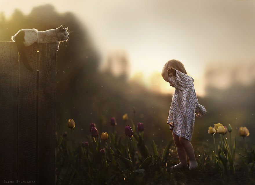 animals-children-photography-elena-Shumilova-13