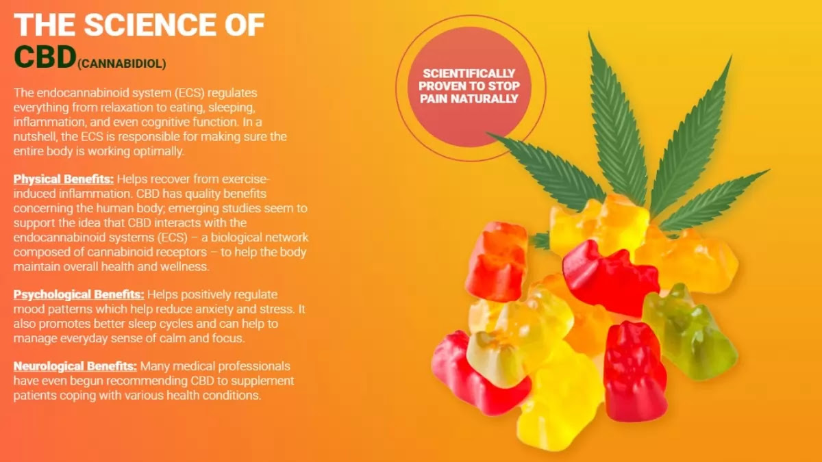 Ultimate] Rejuvenate CBD Gummies Reviews - You Must Need To Know