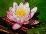 Sunlit Water Lily - Posted on Monday, February 9, 2015 by Sherry Bevins