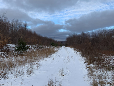 A dirt road covered in snow.