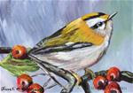 Common Firecrest ACEO - Posted on Thursday, January 29, 2015 by Janet Graham