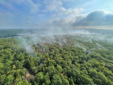 smoke rises above the trees in an aerial view of the forest