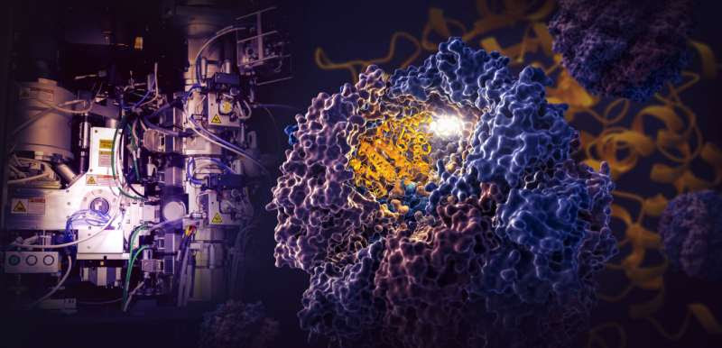 SLAC/Stanford researchers discover how a nano-chamber in the cell directs protein folding