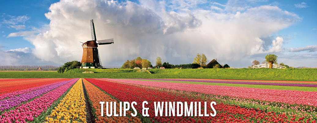 Uniworld river Tulips & Windmills