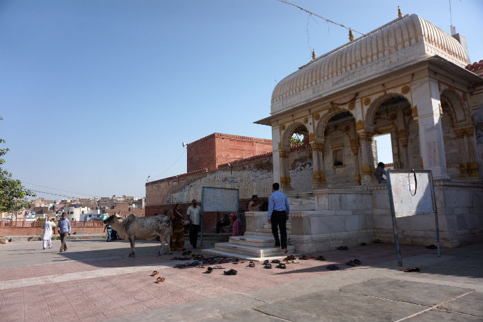 bikaner-templo3