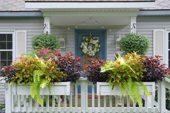 Front porch with plant containers
