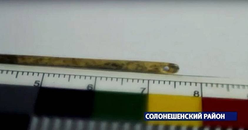 ¿Quién confeccionó esta precisa aguja hace 50.000 años? ¿Quién confeccionó esta precisa aguja hace 50.000 años?