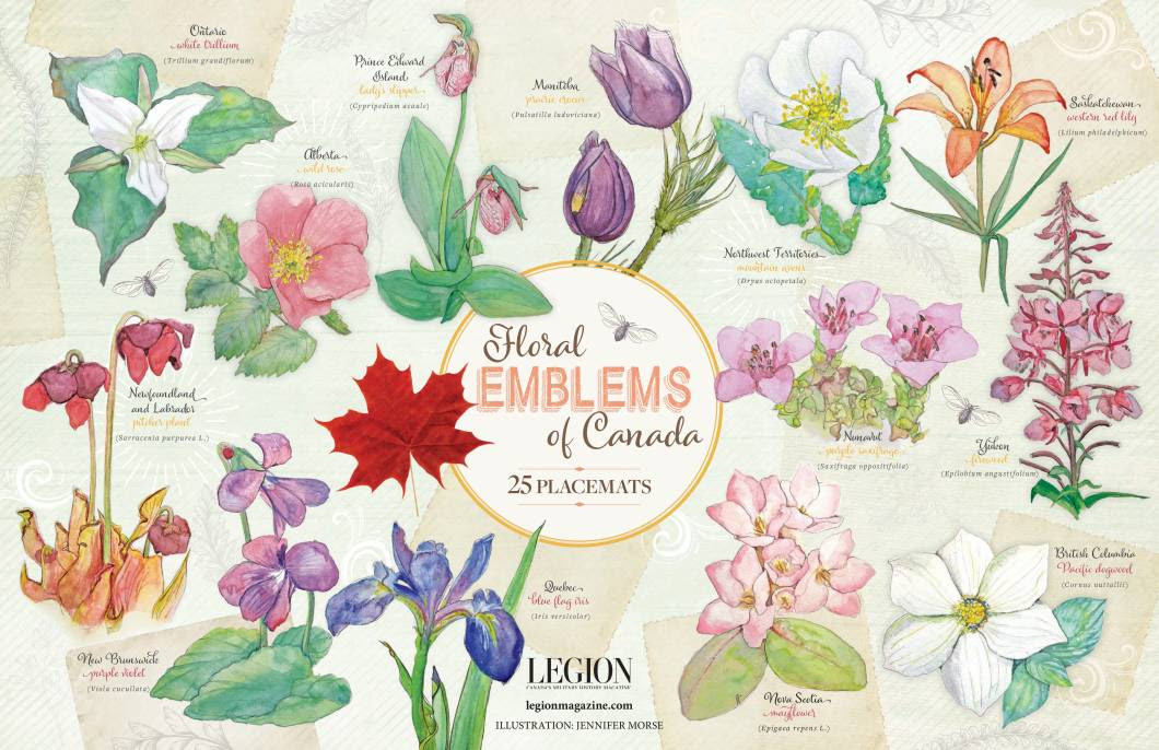 25 pack of Floral Emblems Paper Placemats