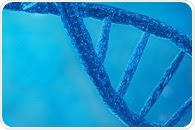 The atomic-level structure of DNA polymerase delta – the enzyme behind DNA replication