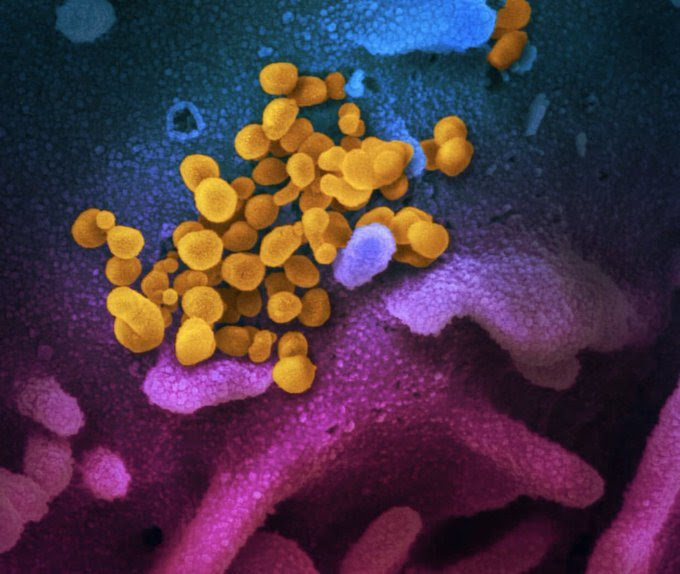 image of virus in purples and blues