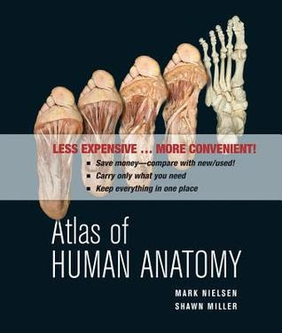 Atlas of Human Anatomy EPUB