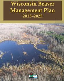 Beaver Management Plan