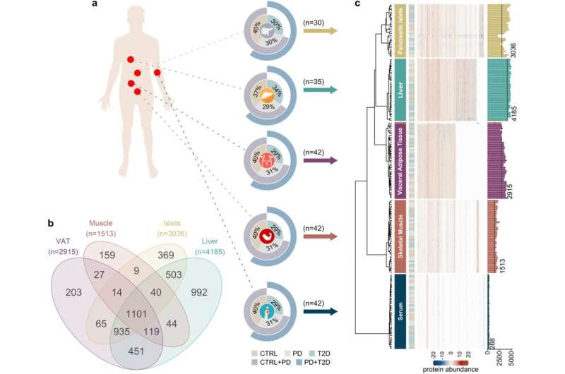 Widespread dysregulation of metabolism in type 2 diabetes