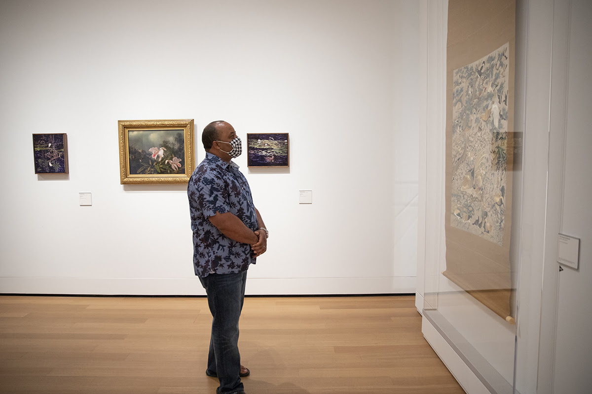 Visitor viewing art in the exhibition, “James Prosek: Art, Artifact, Artifice”