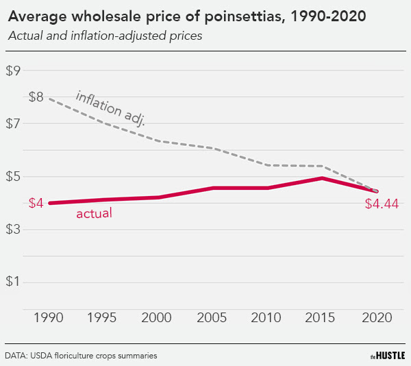 wholesale price of poinsettias