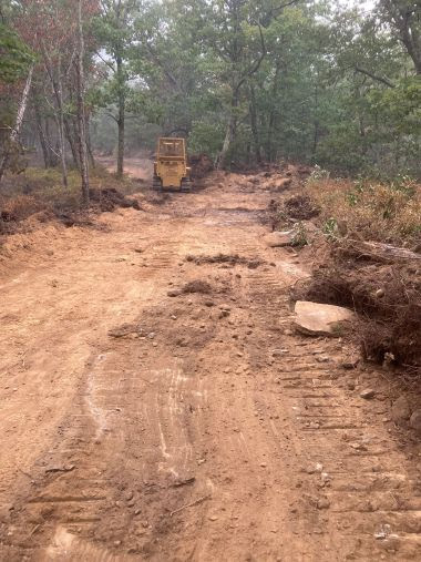 bulldozer creates a flat dirt path through the woods