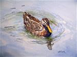 Female Duck, study - Posted on Tuesday, January 6, 2015 by Judith Freeman Clark