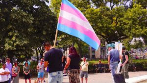 Trans Solidarity Rally and March 55422 17793198042