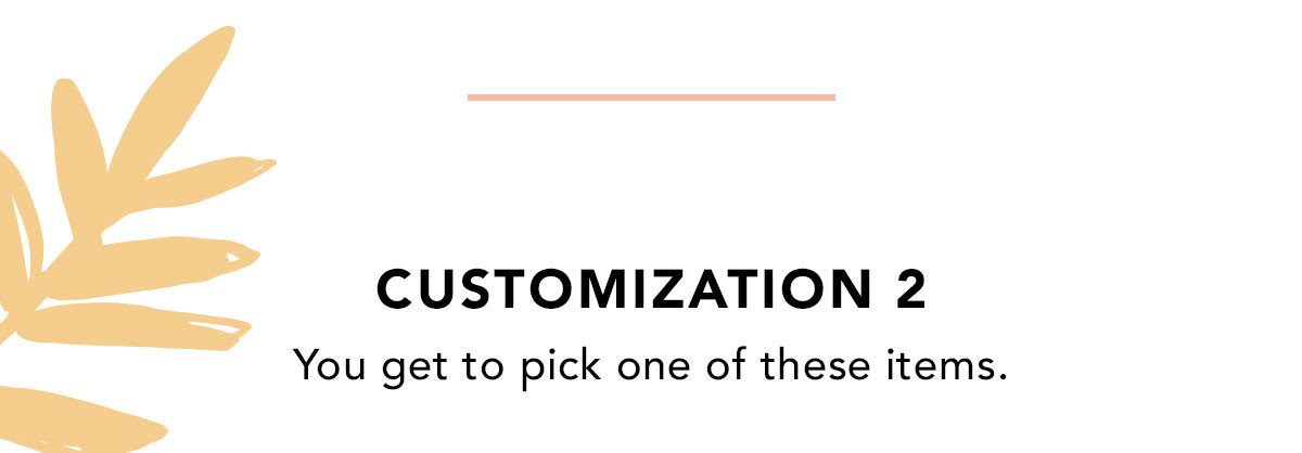 CUSTOMIZATION 2 | You get to pick one of these items.