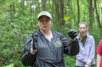 A white woman in a DNR baseball cap and gardening gloves holds up an invasive plant to a group of volunteers.