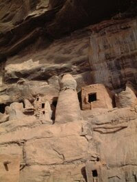 Dogon