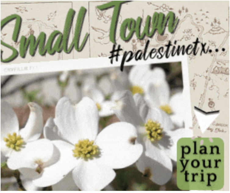 Palestine_Trip_Ad.png
