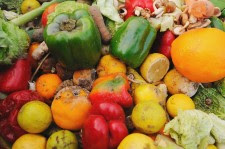 Food waste: prevention in the service sector would have major environmental benefits