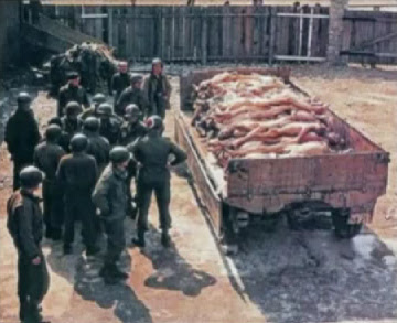 &quot;American&quot; soldiers with round                         &quot;American&quot; helmets piling German                         bodies on a trailer in a Rhine meadow camp