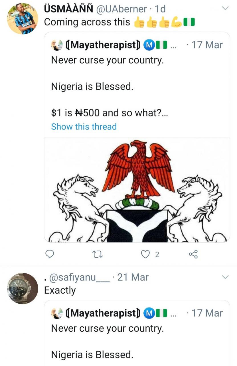 Trending message to Nigerians from a Nigerian living in the US sparks conversation