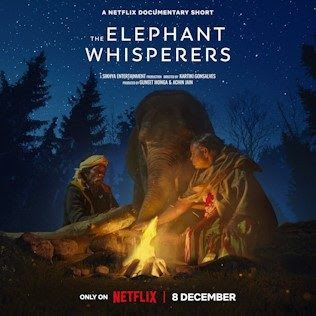 Elephant whisperes