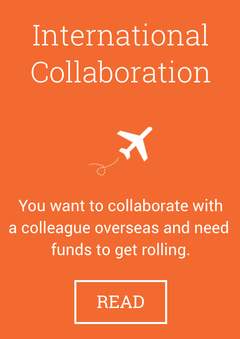 International Collaboration Program