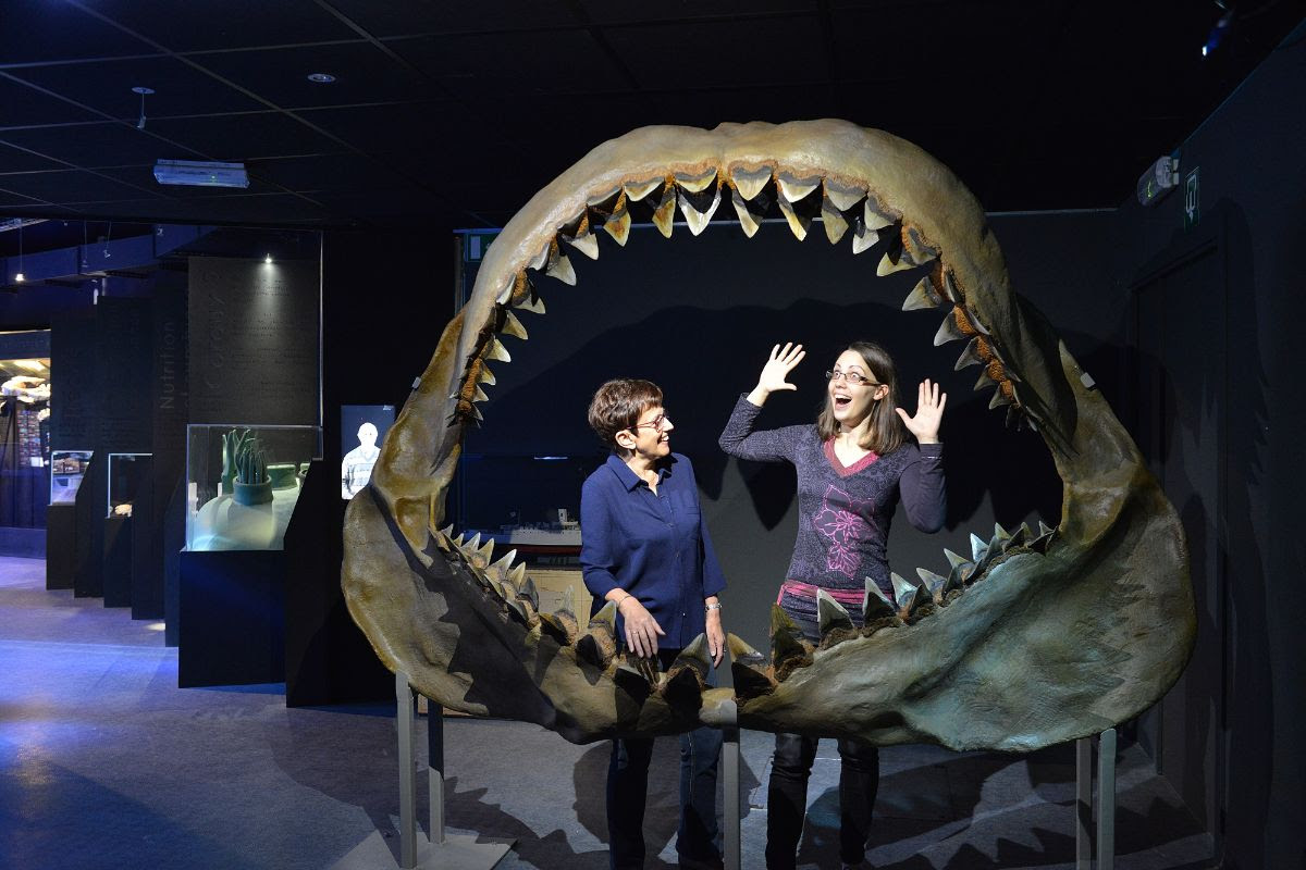 Aquarium-museum de Liège