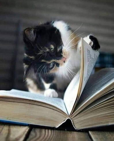 Read-cat-any-good-books