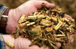 Biomasa: la renovable neutra para las instituciones que las asociaciones ecologistas califican de "energía negra"
