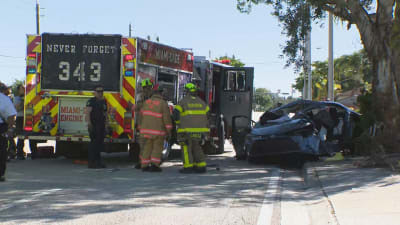 Hit and run crash in Miami-Dade County.