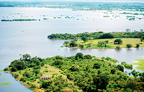 Amazônia rural: propriedades grandes desmatam mais do que as menores