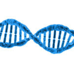 dna-1370603787LgY (1)