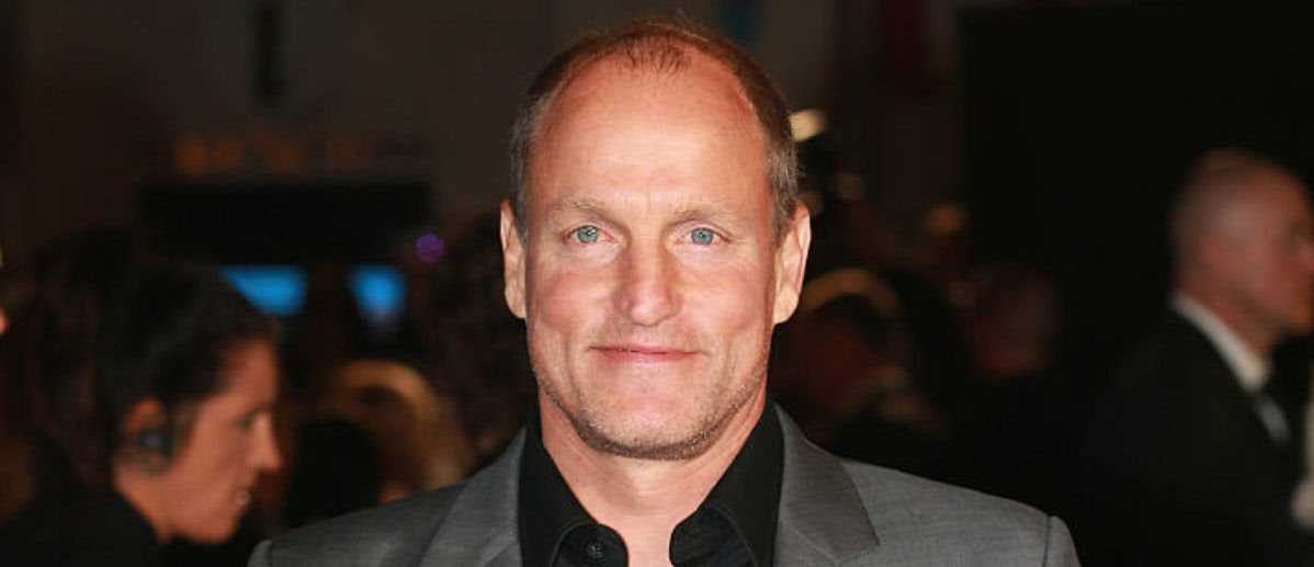 Woody Harrelson Punches Man At Rooftop Hotel In Act Of Self-Defense