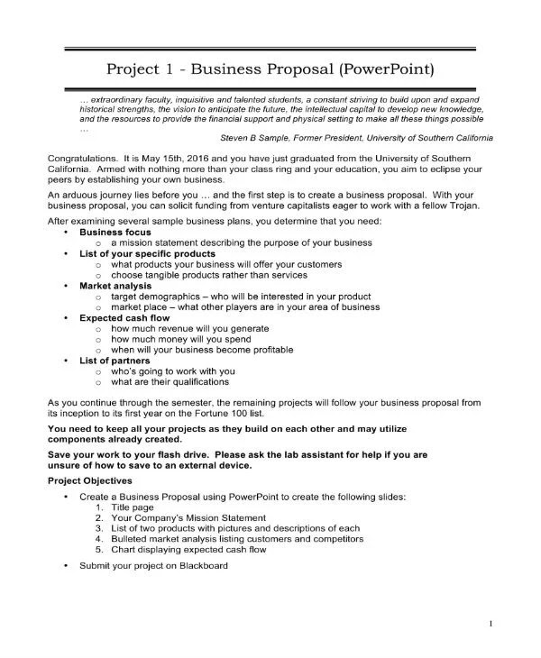 7+ IT Business Proposal Templates PDF