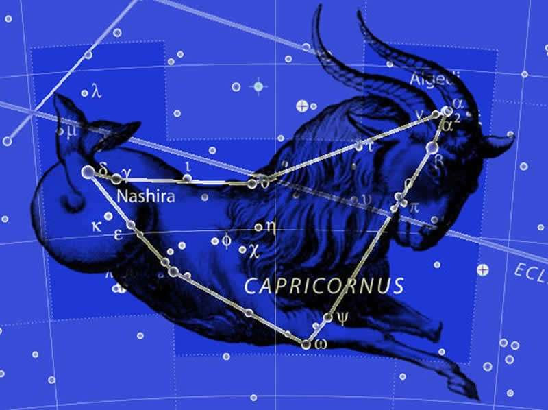 Capricorn Vela Oblíqua - Capricórnio