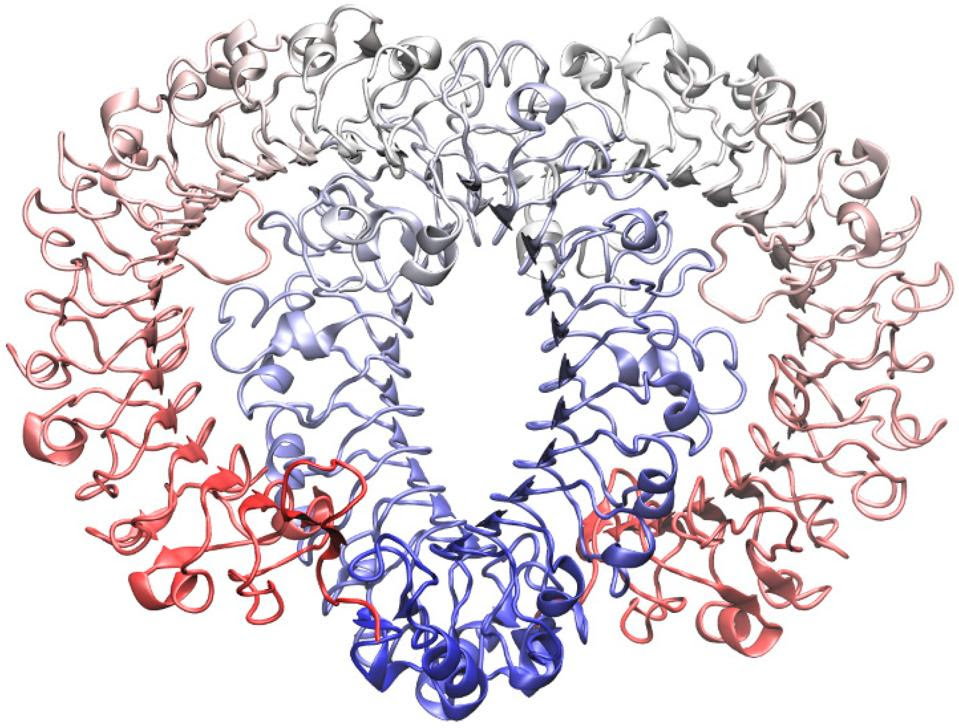 TLR7 molecular structure