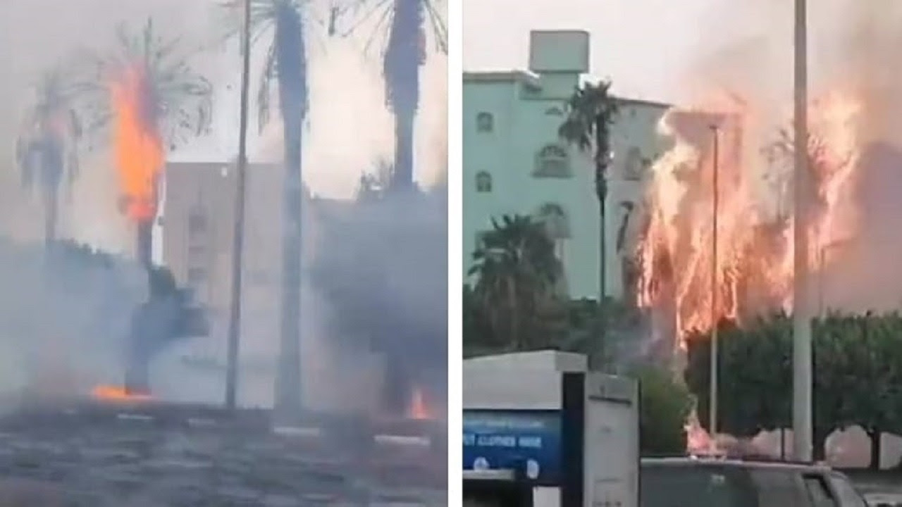 فيديوهات متداولة لصواعق تشعل النيران في أشجار وادي وج بالطائف