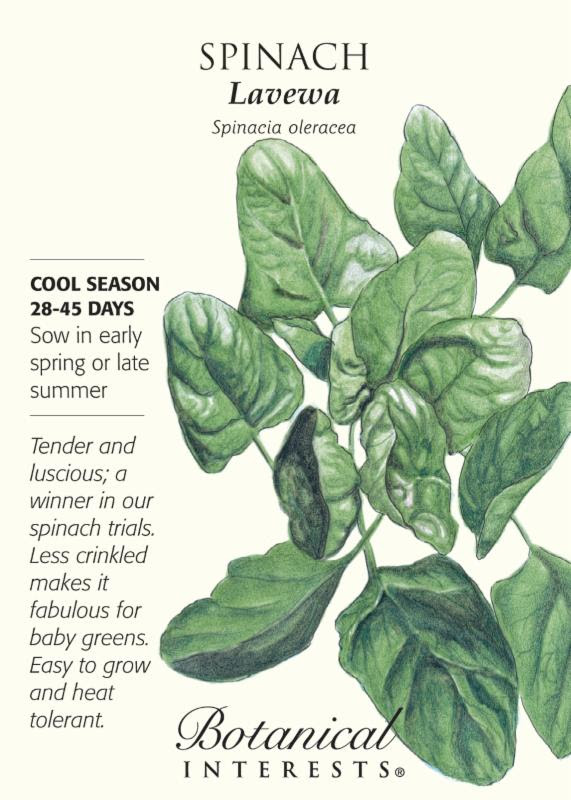 Lavewa Spinach