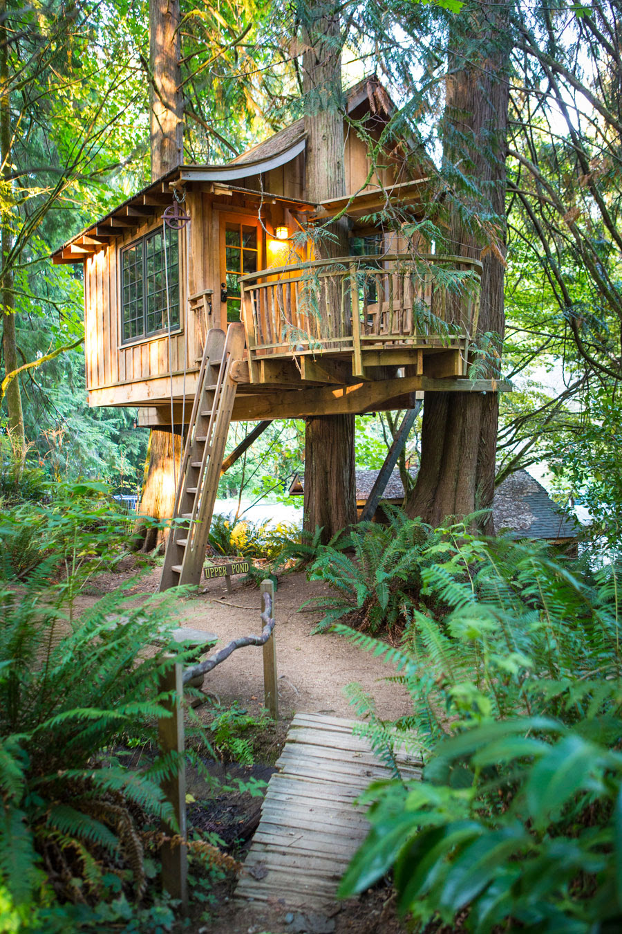 cabane-arbre-09