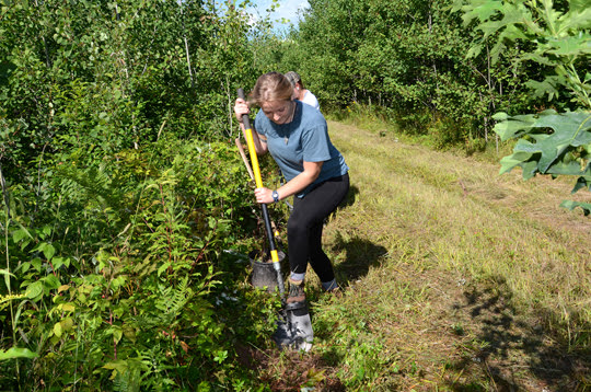 volunteers planted more than 75 trees to improve a GEMS trail