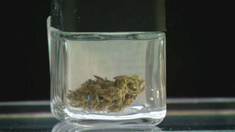  Rhode Island prepares for first recreational cannabis sales this week