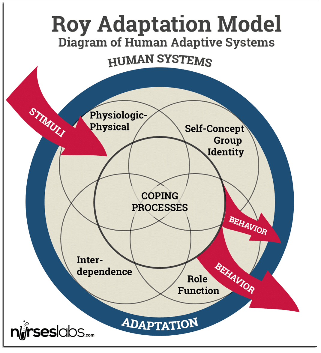 Image result for roy adaptation model